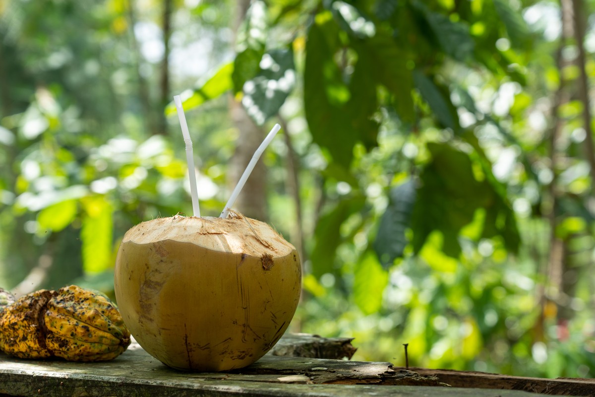 Is Fresh Young Coconut Good For Diabetics