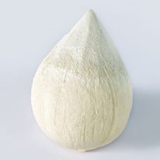 Polished, Ice Cream Style Pre-Cut Coconut