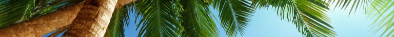 product-header-banner