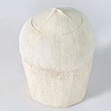 Semi Polished, Thai Style Pre-Cut Coconut