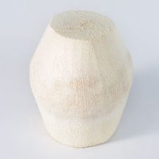 Slim Cut Fresh Coconut